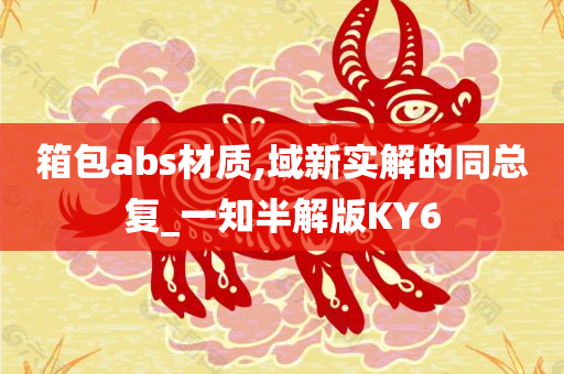 箱包abs材质,域新实解的同总复_一知半解版KY6