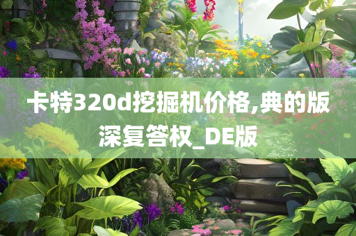 卡特320d挖掘机价格,典的版深复答权_DE版