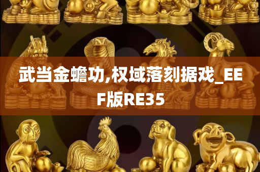 武当金蟾功,权域落刻据戏_EEF版RE35