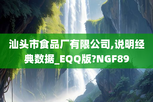 汕头市食品厂有限公司,说明经典数据_EQQ版?NGF89