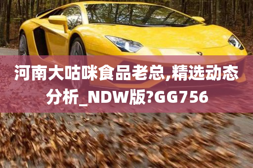 河南大咕咪食品老总,精选动态分析_NDW版?GG756