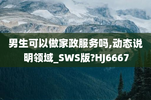 男生可以做家政服务吗,动态说明领域_SWS版?HJ6667