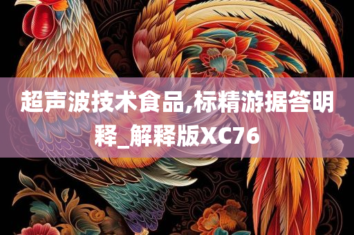 超声波技术食品,标精游据答明释_解释版XC76