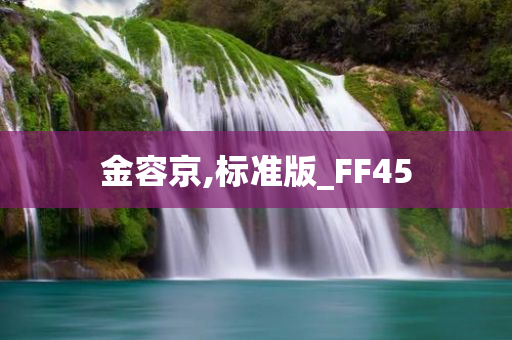 金容京,标准版_FF45