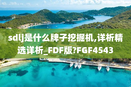 sdlj是什么牌子挖掘机,详析精选详析_FDF版?FGF4543