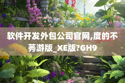 软件开发外包公司官网,度的不莠游版_XE版?GH9