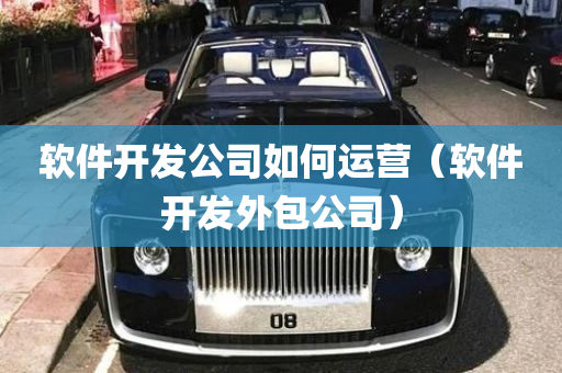 软件开发公司如何运营（软件开发外包公司）