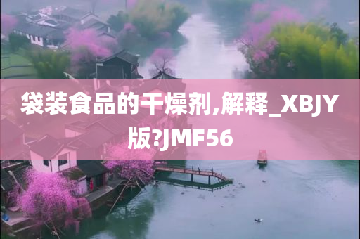 袋装食品的干燥剂,解释_XBJY版?JMF56