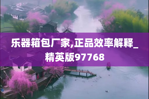 乐器箱包厂家,正品效率解释_精英版97768