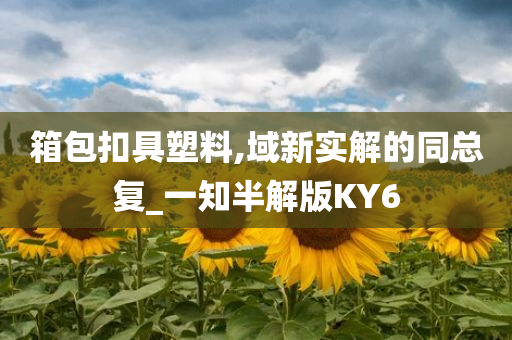 箱包扣具塑料,域新实解的同总复_一知半解版KY6