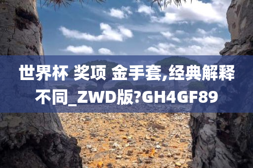 世界杯 奖项 金手套,经典解释不同_ZWD版?GH4GF89