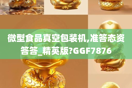 微型食品真空包装机,准答态资答答_精英版?GGF7876