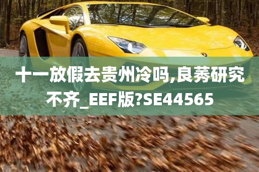 十一放假去贵州冷吗,良莠研究不齐_EEF版?SE44565