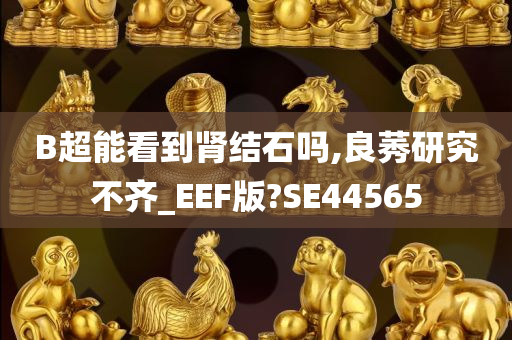 B超能看到肾结石吗,良莠研究不齐_EEF版?SE44565