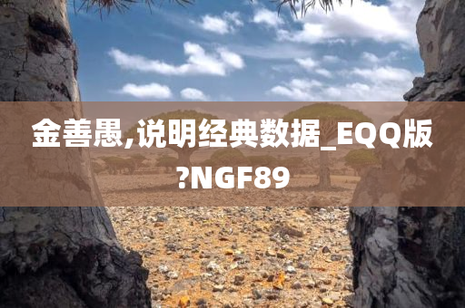 金善愚,说明经典数据_EQQ版?NGF89