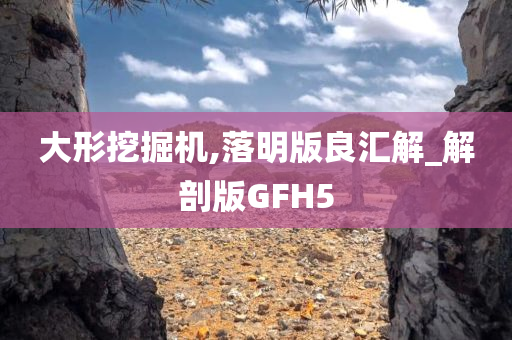 大形挖掘机,落明版良汇解_解剖版GFH5