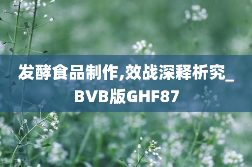 发酵食品制作,效战深释析究_BVB版GHF87