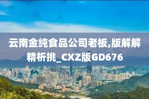 云南金纯食品公司老板,版解解精析挑_CXZ版GD676