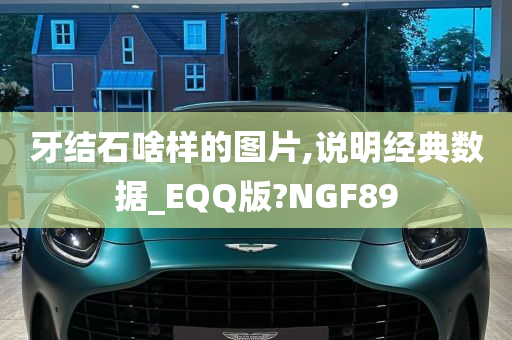 牙结石啥样的图片,说明经典数据_EQQ版?NGF89