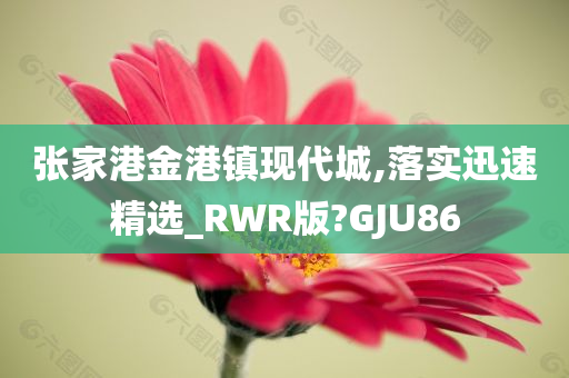 张家港金港镇现代城,落实迅速精选_RWR版?GJU86