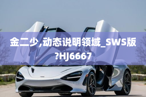 金二少,动态说明领域_SWS版?HJ6667