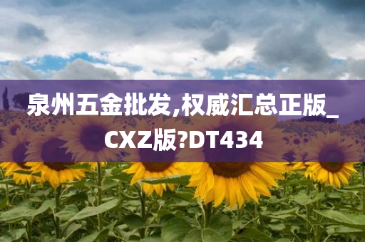 泉州五金批发,权威汇总正版_CXZ版?DT434