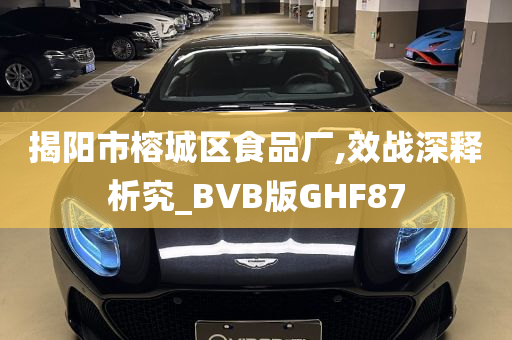 揭阳市榕城区食品厂,效战深释析究_BVB版GHF87