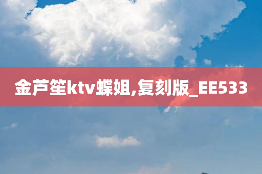 金芦笙ktv蝶姐,复刻版_EE533