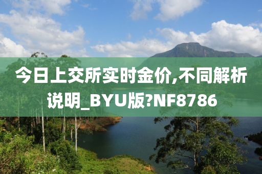 今日上交所实时金价,不同解析说明_BYU版?NF8786