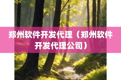 郑州软件开发代理（郑州软件开发代理公司）