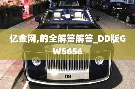 亿金网,的全解答解答_DD版GW5656