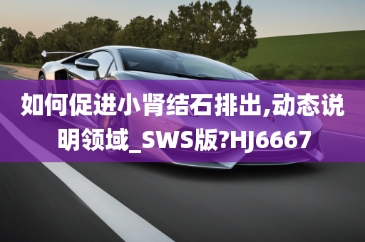 如何促进小肾结石排出,动态说明领域_SWS版?HJ6667