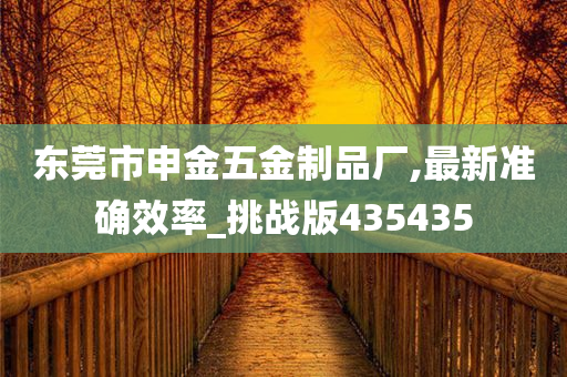 东莞市申金五金制品厂,最新准确效率_挑战版435435