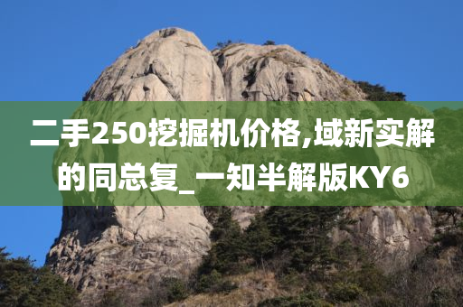 二手250挖掘机价格,域新实解的同总复_一知半解版KY6