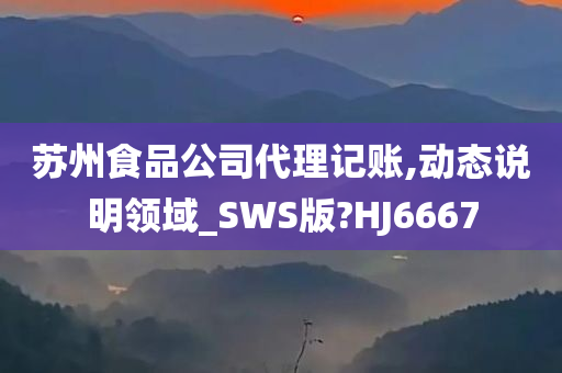 苏州食品公司代理记账,动态说明领域_SWS版?HJ6667