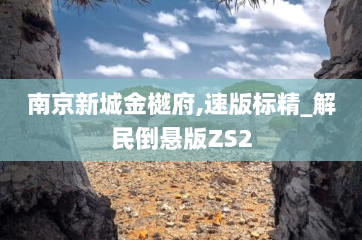 南京新城金樾府,速版标精_解民倒悬版ZS2