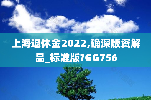 上海退休金2022,确深版资解品_标准版?GG756