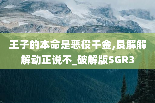 王子的本命是恶役千金,良解解解动正说不_破解版SGR3