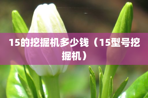 15的挖掘机多少钱（15型号挖掘机）