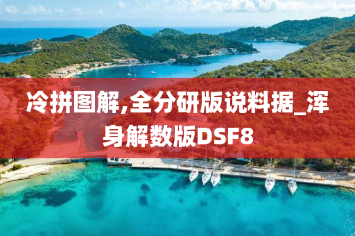 冷拼图解,全分研版说料据_浑身解数版DSF8