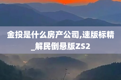 金投是什么房产公司,速版标精_解民倒悬版ZS2