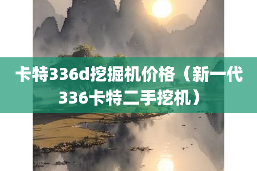 卡特336d挖掘机价格（新一代336卡特二手挖机）