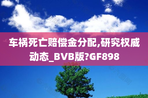 车祸死亡赔偿金分配,研究权威动态_BVB版?GF898