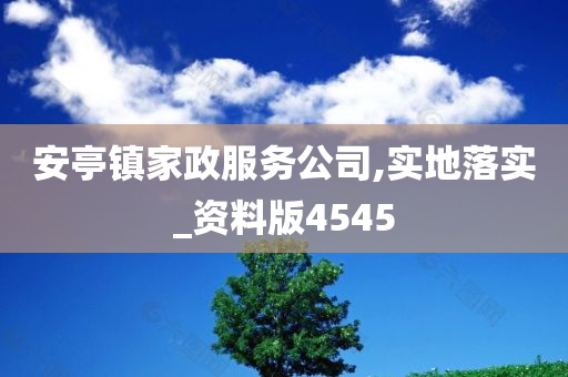 安亭镇家政服务公司,实地落实_资料版4545