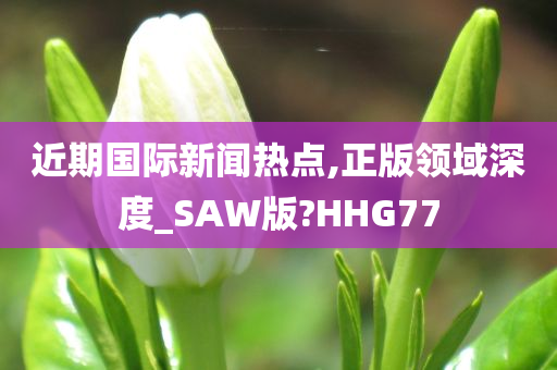 近期国际新闻热点,正版领域深度_SAW版?HHG77