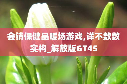 会销保健品暖场游戏,详不数数实构_解放版GT45