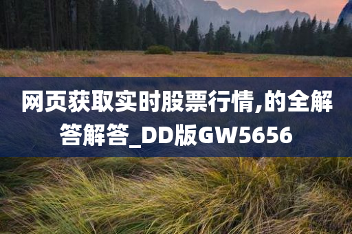 网页获取实时股票行情,的全解答解答_DD版GW5656