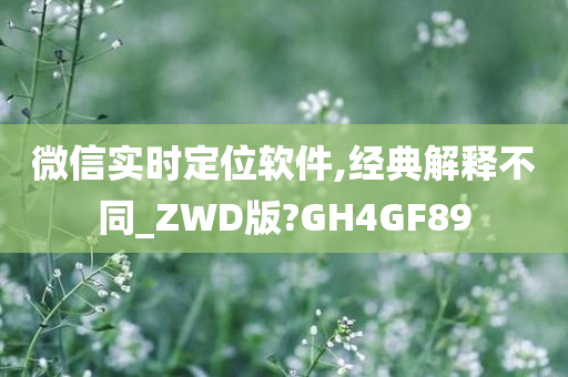 微信实时定位软件,经典解释不同_ZWD版?GH4GF89