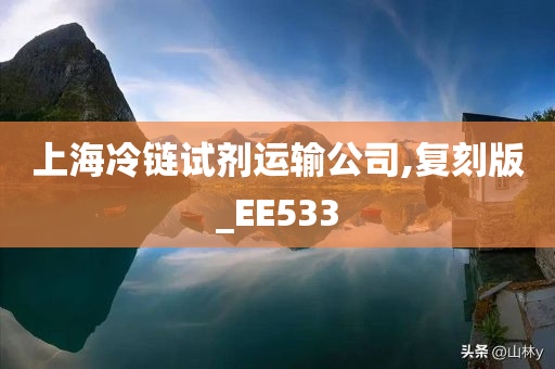 上海冷链试剂运输公司,复刻版_EE533