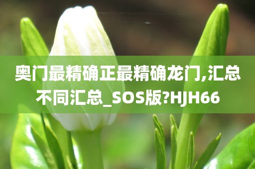 奥门最精确正最精确龙门,汇总不同汇总_SOS版?HJH66